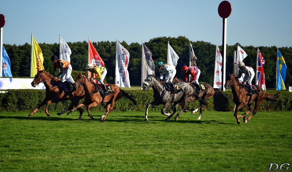 Pferderennen in Hoppegarten bei Grand Prix Meeting